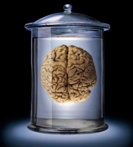 What my brain in a jar would look like had it been removed